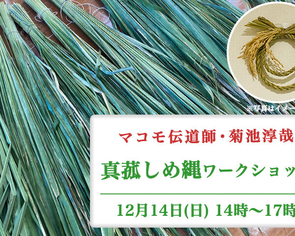 マコモ伝道師・菊池淳哉　「真菰しめ縄ワークショップ」開催！